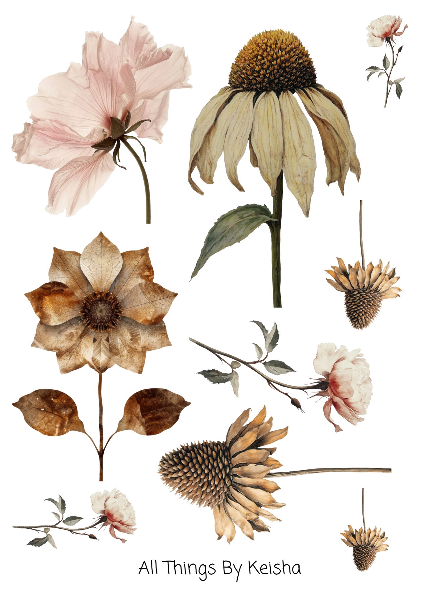 MUTED ELEGANCE FLORAS