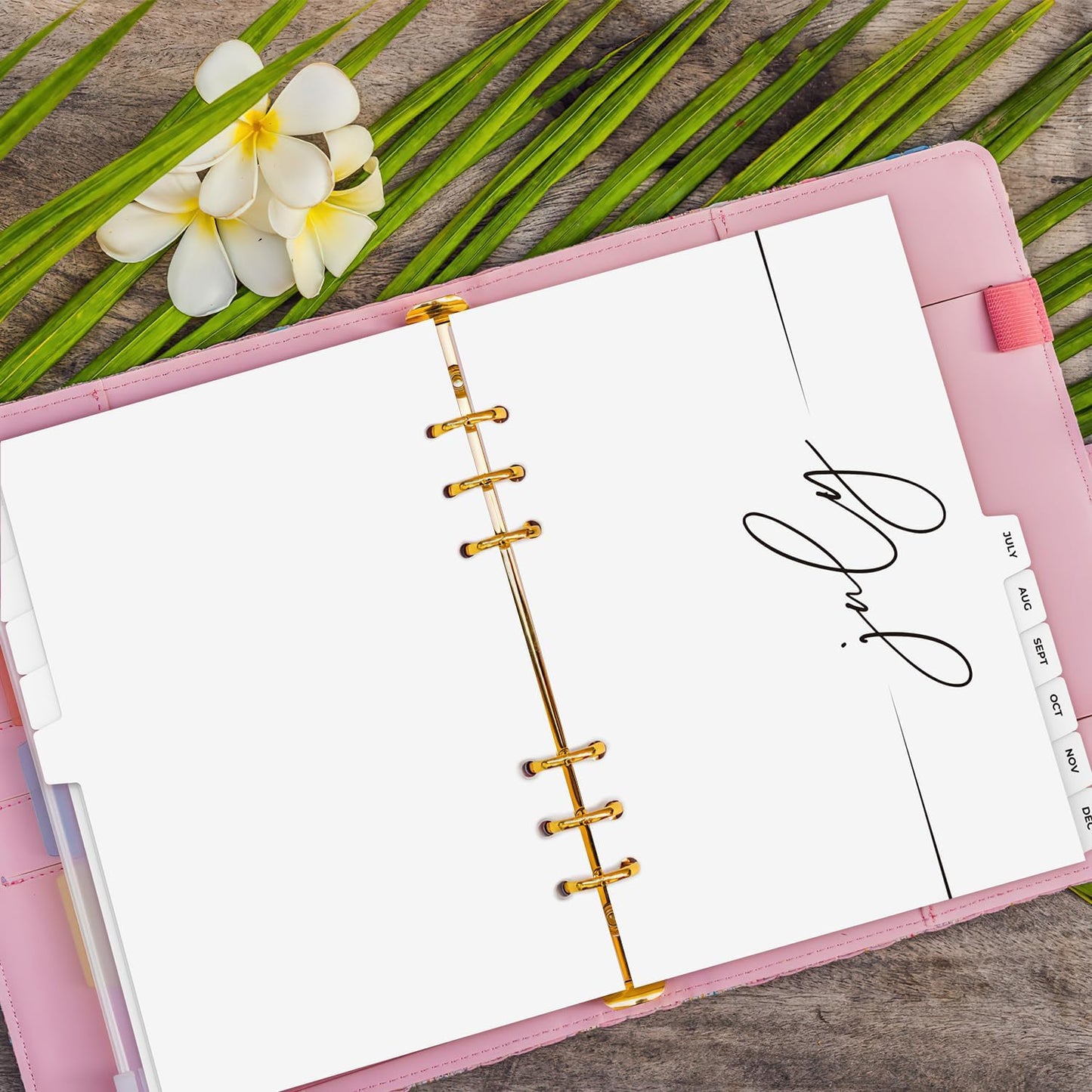 A5 Binder Dividers with Monthly Tabs