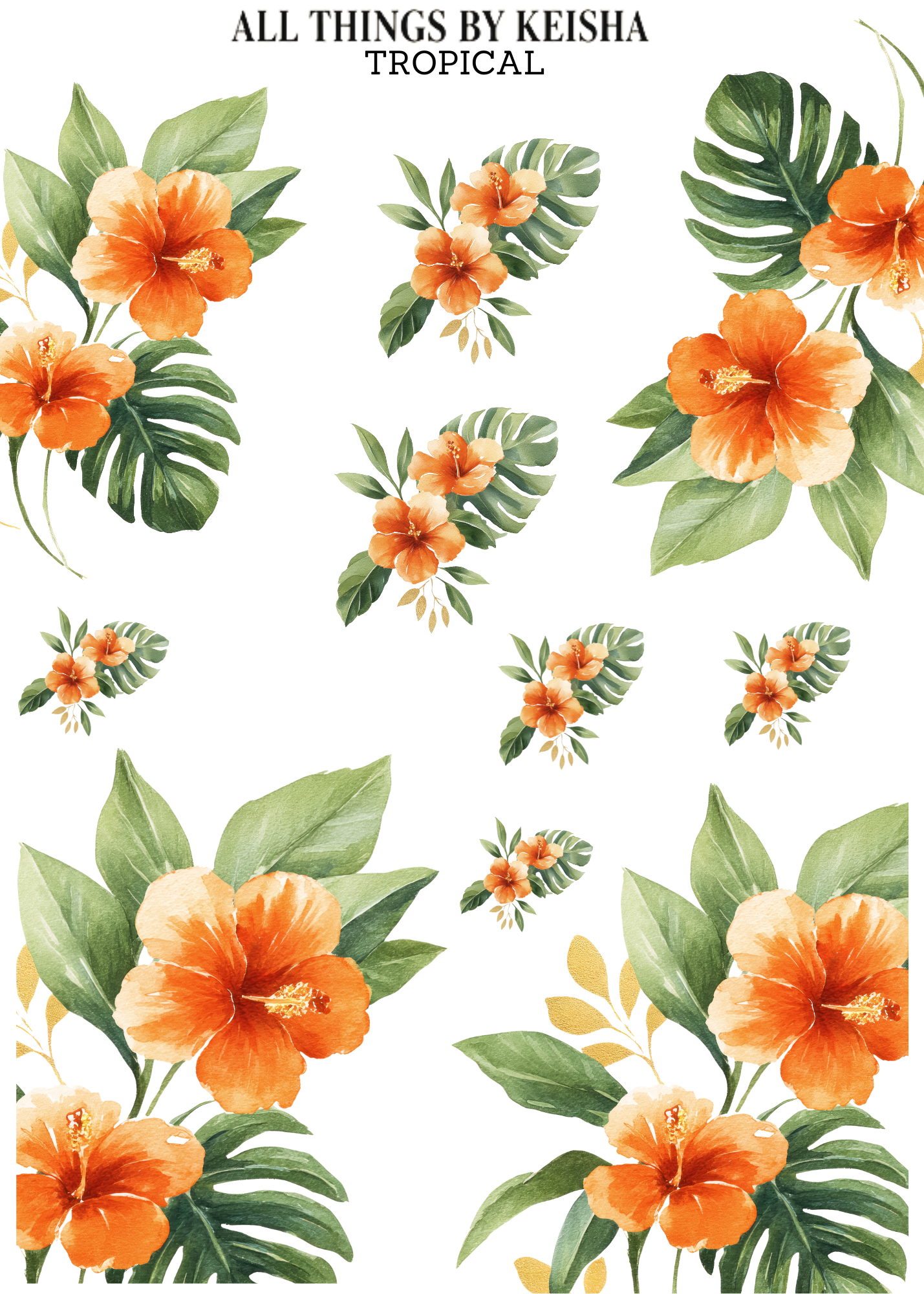 TROPICAL FLORALS