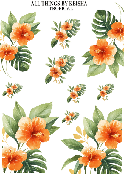 TROPICAL FLORALS