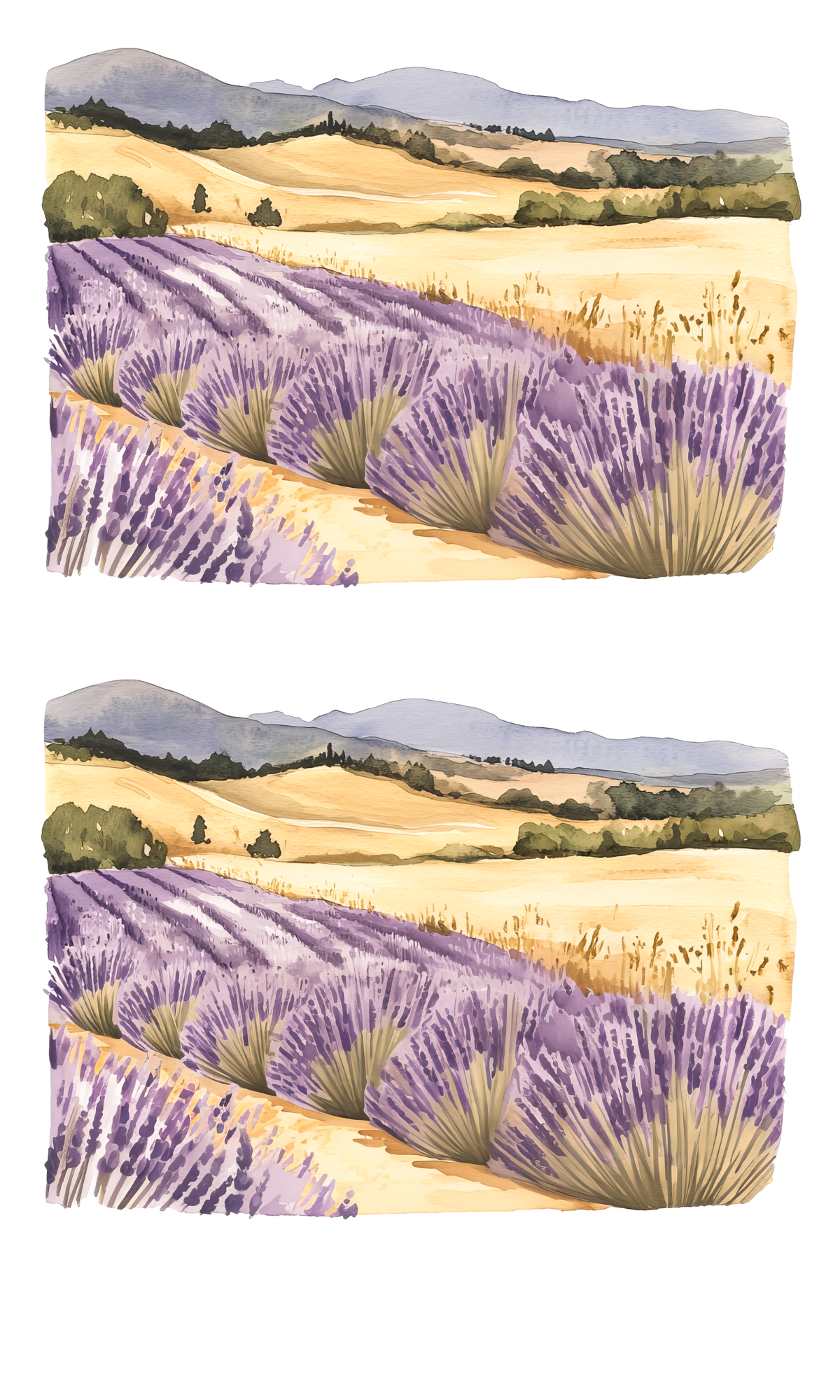 HONEY & LAVENDER STICKER BOOK
