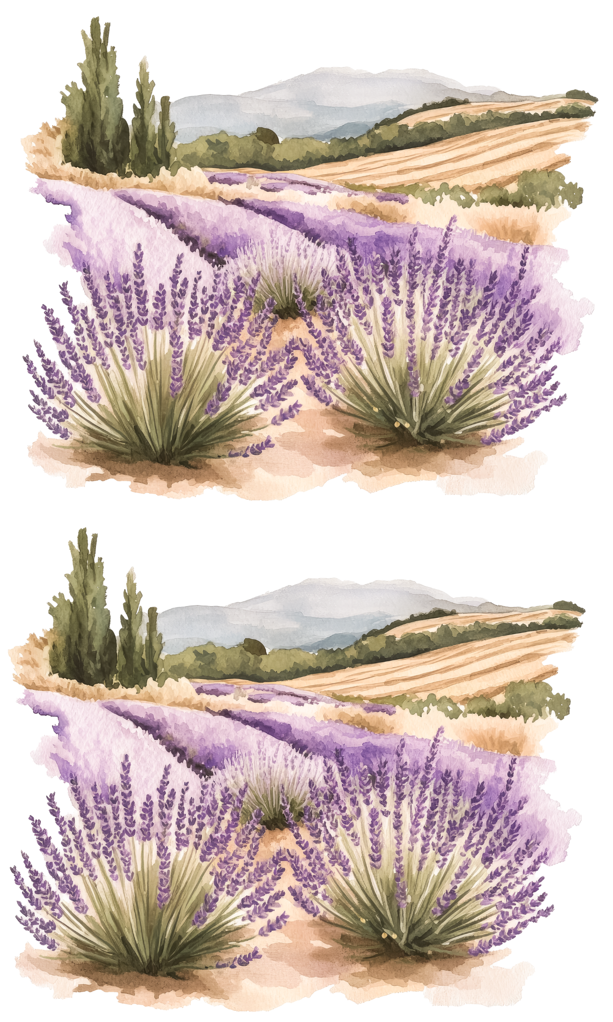 HONEY & LAVENDER STICKER BOOK